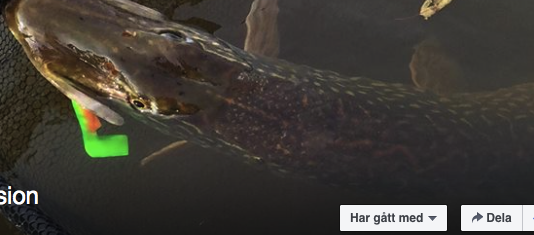 Fiskefuralle tar tempen på Fishing Passion inför Sportfiskemässan 2014