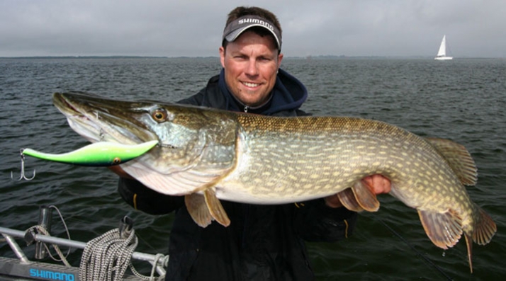 Det är sådana här bilder vi brukar se från fiske i Rügen. Mina favvisar Zaltarna kommer också ha en given plats i lådan