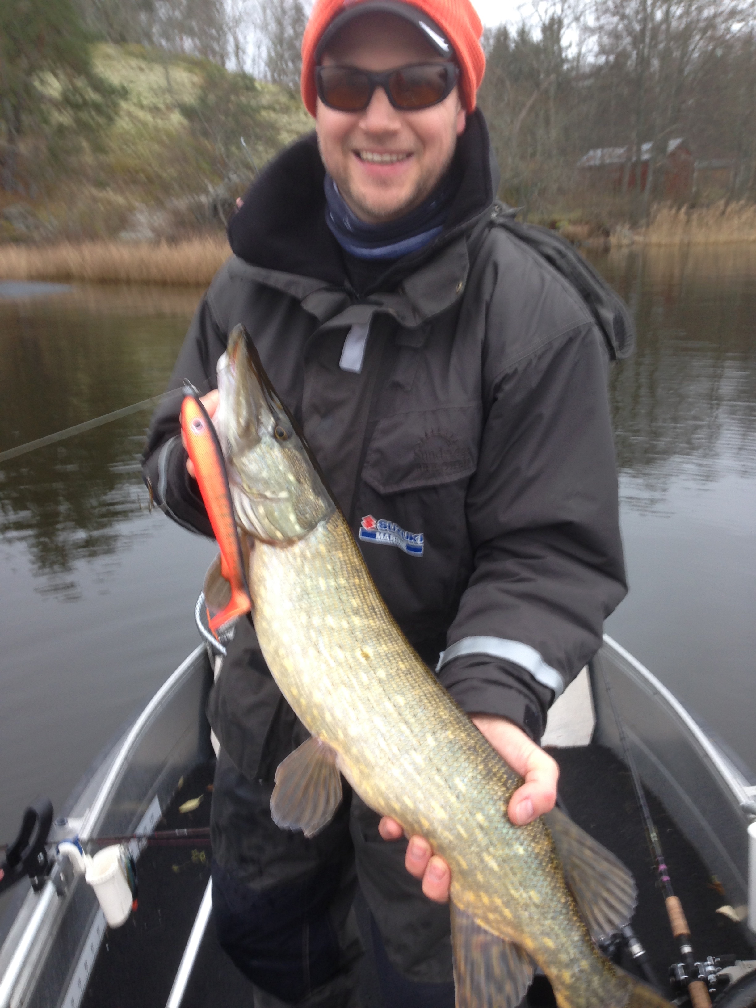 Erik är först IGEN att få fisk på det nya stället. En skaplig fisk på 3,3 kilo. Ett riktigt bra hugg och en aktiv fight. Fisken är riktigt pigg. Kul med sprattel som känns lite i prylarna.