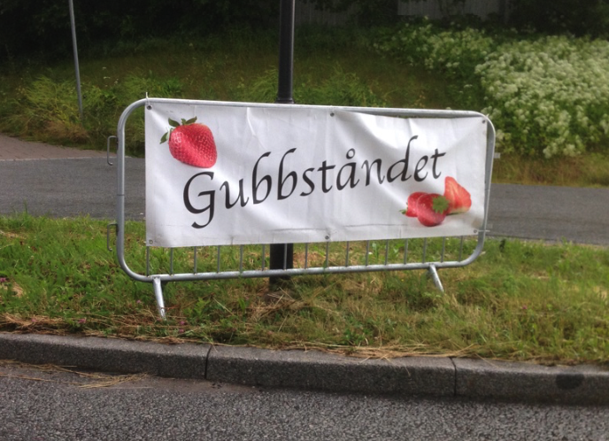gubbståndet